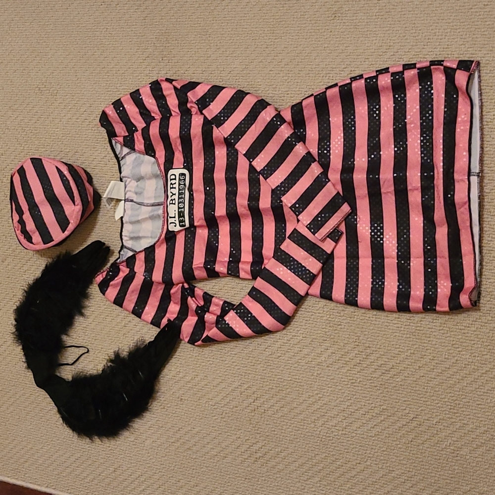 Jailbird junior size 7-9 costume